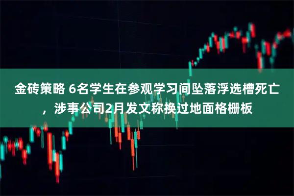 金砖策略 6名学生在参观学习间坠落浮选槽死亡，涉事公司2月发文称换过地面格栅板